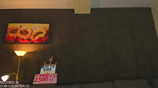 Roomies Live XXX-chat