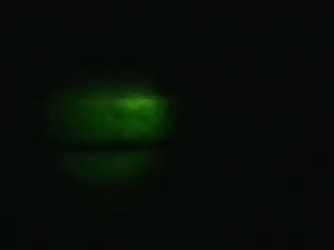 Floschaeのウェブカメラショー