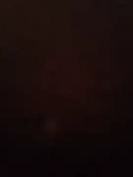 butterflybootyy Live XXX-chat