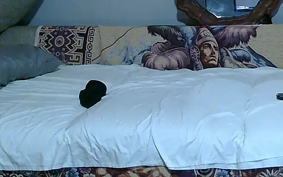 Chat +18 de Luvthecam2model ao vivo