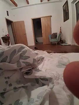 BipedGlintn Webbikameraesitys