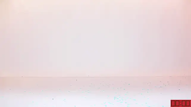 TNT-cdc live XXX chat