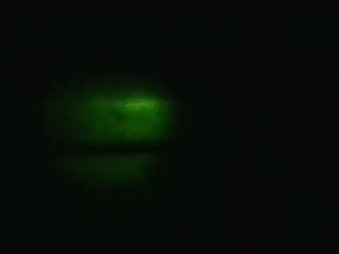FloschaeのライブXXXチャット