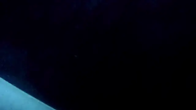 Gaellitton Live XXX chat
