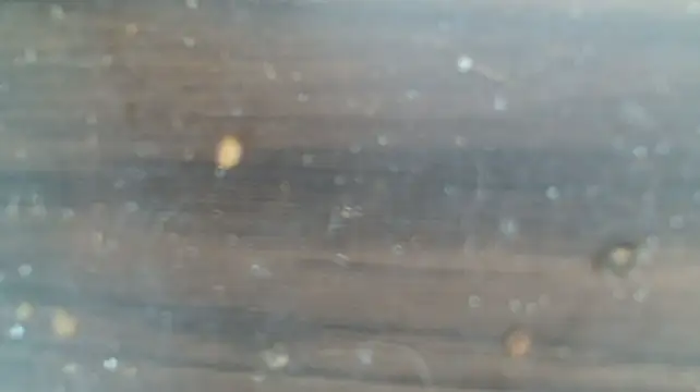 MrBigDickGoonern Webbikameraesitys