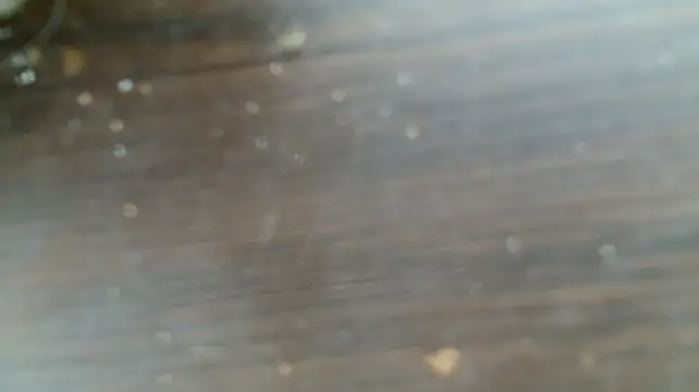 MrBigDickGoonern Webbikameraesitys
