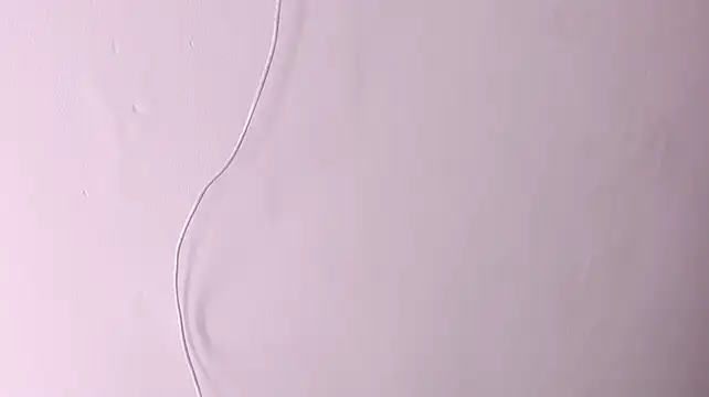 LunaVelvet33 Chat XXX live