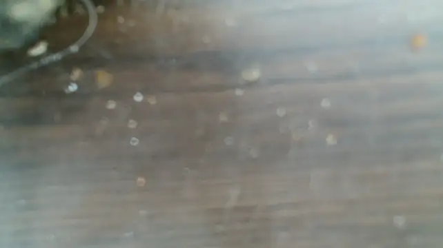 MrBigDickGooner Webcamshow