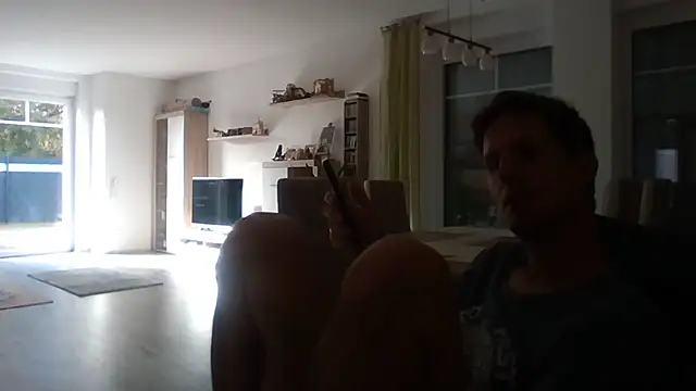 Show modela Trockenbau na web-kameri