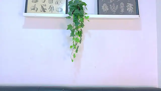 Chat XXX ao vivo de TylerWest_