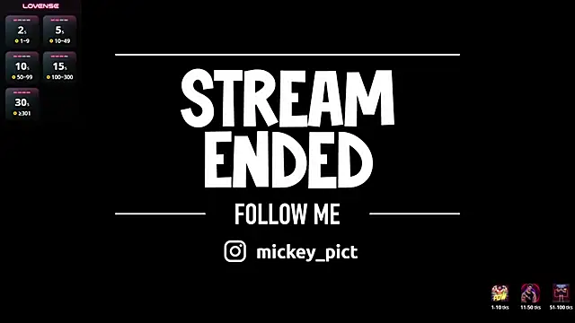 Show webcam de mickeypict
