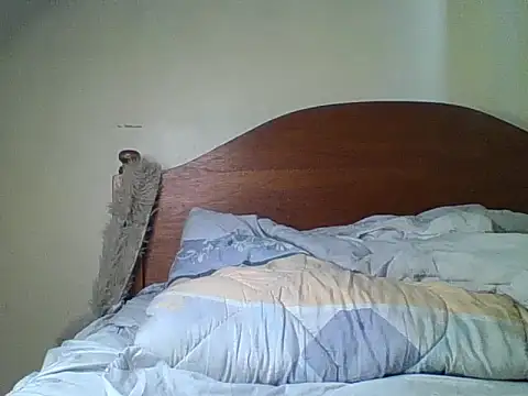 wildbreasts XXX чат на живо