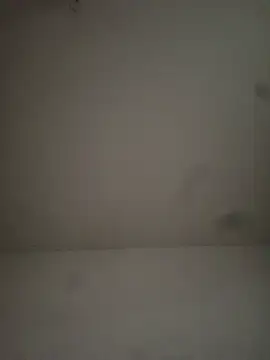 docile65 Pertunjukan Webcam