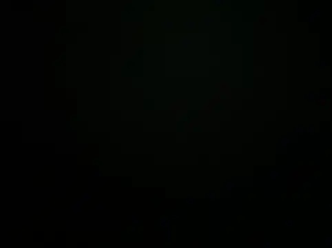 DimViev Webcamshow