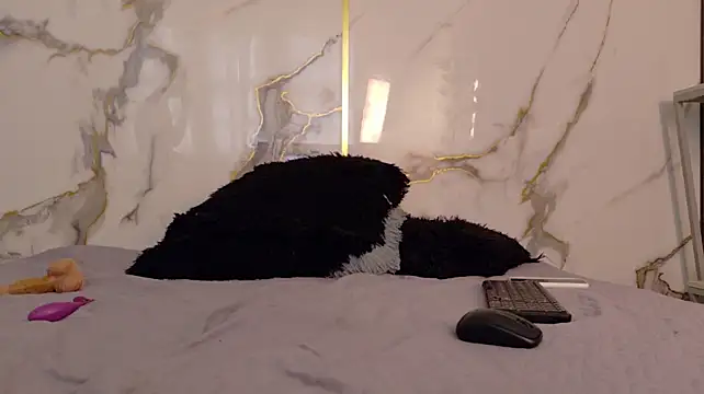 Živý XXX chat Samy_King23