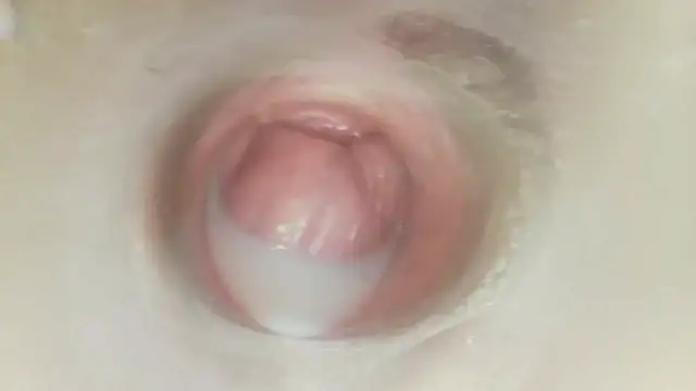 karol_stom's Live XXX Chat