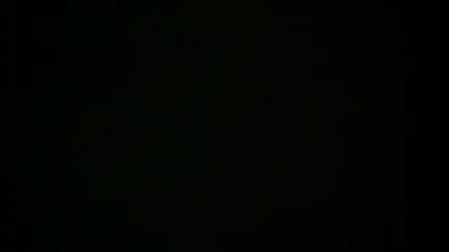 RIENASIGNALER 网络视讯表演