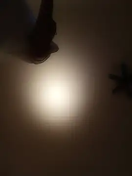 Lia_Y_PatrickX 웹캠 쇼