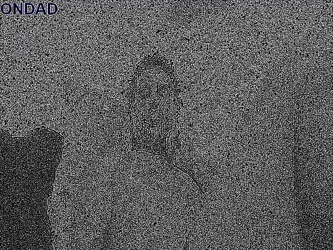 ONDAD live XXX chat