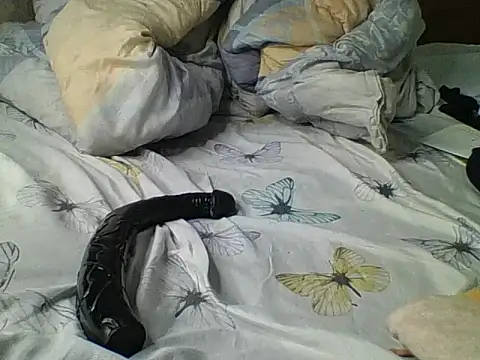 دردشة wildbreasts الجنسية المباشرة