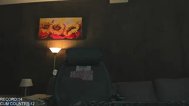 Chat XXX en directo de Roomies