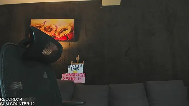 Roomies Live XXX-chat