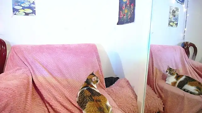 Živý XXX chat cacao_boucless
