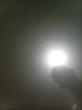 lacone1028 Webcam Show