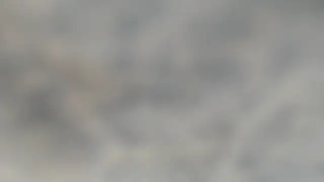 Show webcam de pnp_party