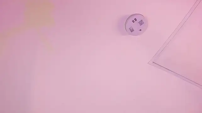 megan_wollのライブXXXチャット