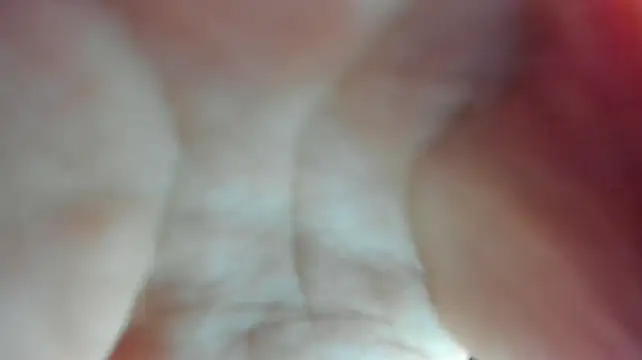 Chat XXX ao vivo de dalila_sp