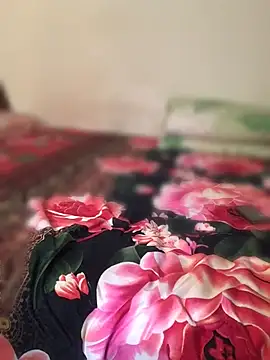 FleckedAlbum 现场XXX聊天