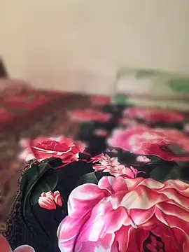 FleckedAlbum 网络视讯表演