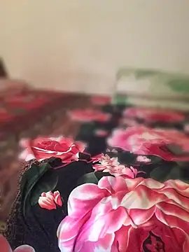FleckedAlbum's Webcam Show