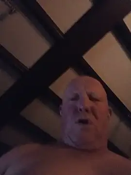 Tomsskyyn Webbikameraesitys