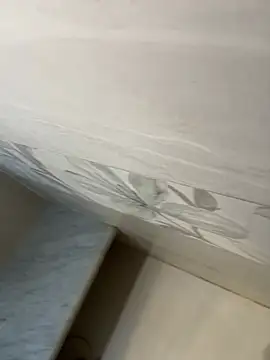 giovvggのウェブカメラショー