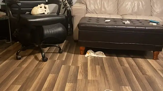 Bezizit's Webcam Show