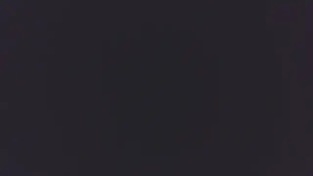0SEANX webkamerás műsora