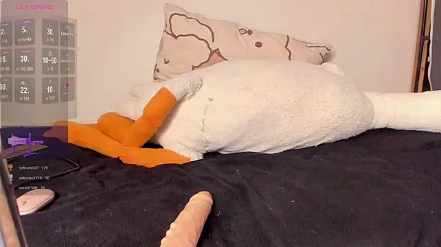 Chat XXX Live NeilRogers