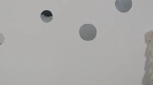 Avgust__ Live XXX-chat