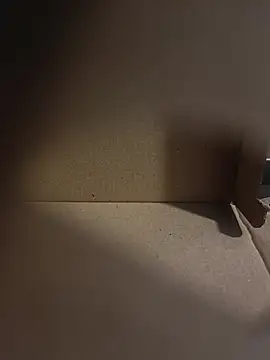Webkamerová show misterBigDick19