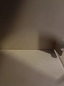 misterBigDick19 Webcam show