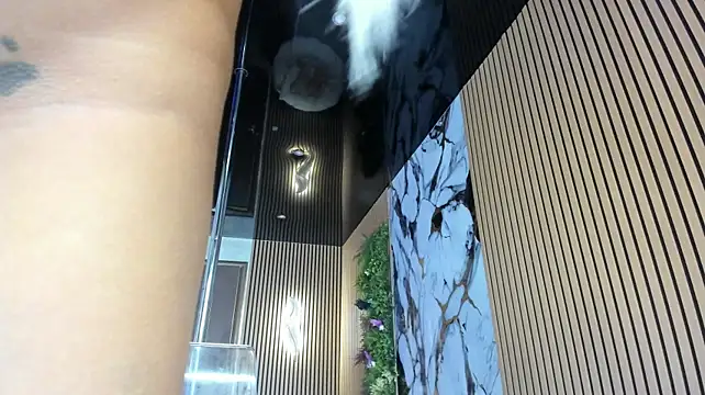 LisaAkiraのライブXXXチャット