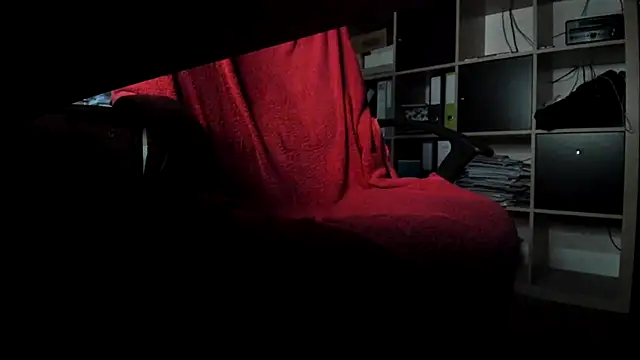 leccaleccafiga Live XXX-chat
