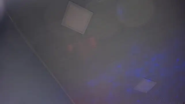 ayshel__'s Live XXX Chat