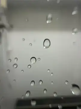gyecha Pertunjukan Webcam