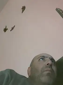 Davidsex66666 webcam show