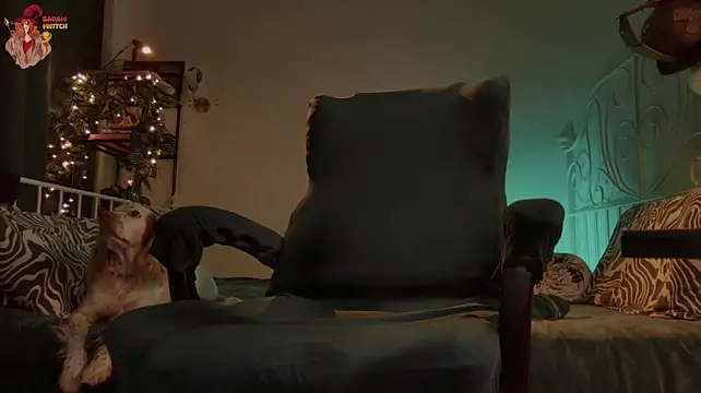 Chat XXX ao vivo de badassswitchx
