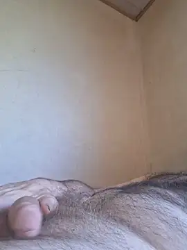 Show webcam de bazooka314