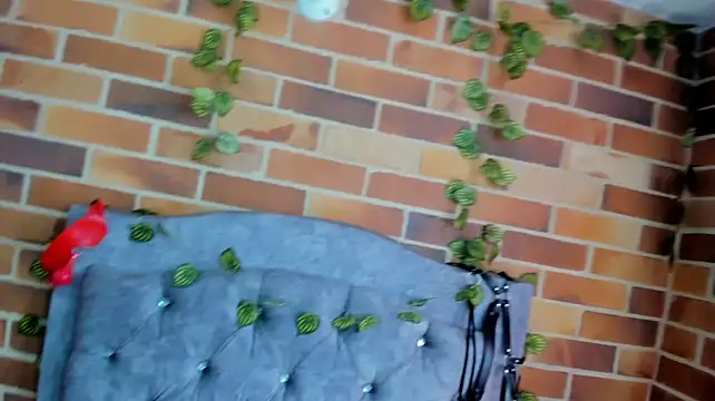 MirandaDream2 라이브 XXX 채팅